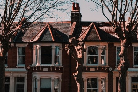 bridging trends in 2024 and 2025