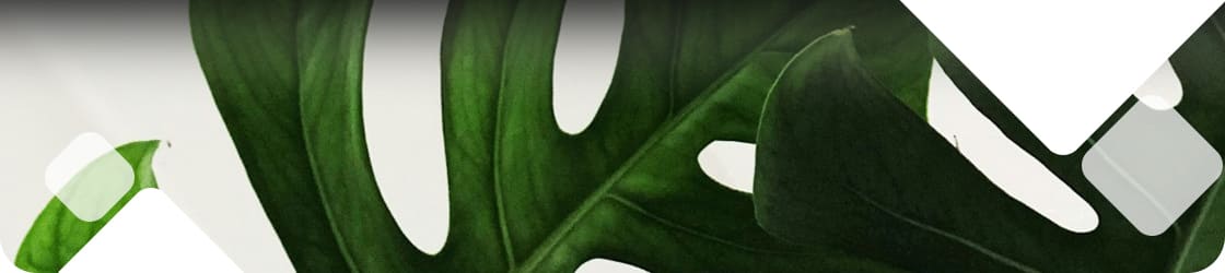 new green home grant 2025